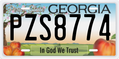 GA license plate PZS8774