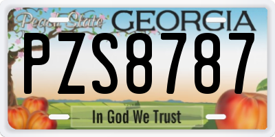 GA license plate PZS8787