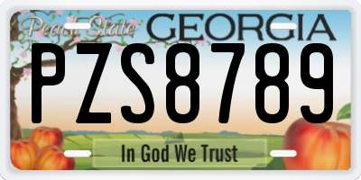 GA license plate PZS8789