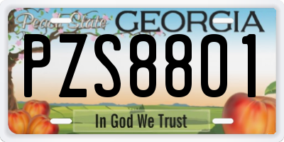 GA license plate PZS8801