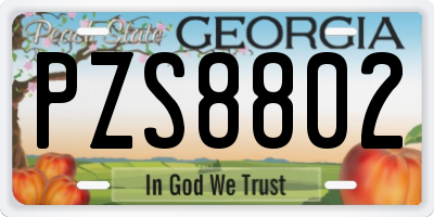 GA license plate PZS8802