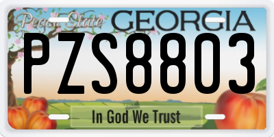 GA license plate PZS8803