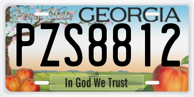 GA license plate PZS8812