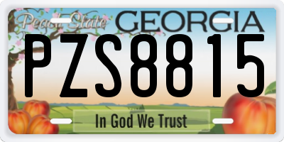 GA license plate PZS8815