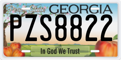 GA license plate PZS8822