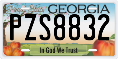 GA license plate PZS8832