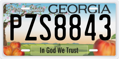 GA license plate PZS8843