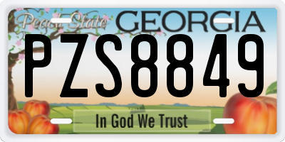 GA license plate PZS8849