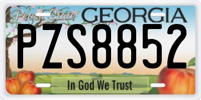 GA license plate PZS8852