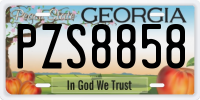 GA license plate PZS8858