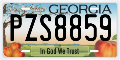 GA license plate PZS8859