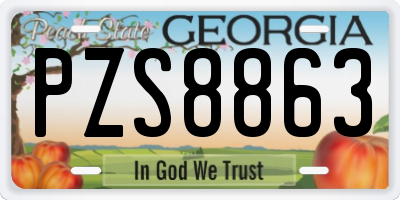 GA license plate PZS8863