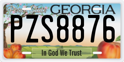 GA license plate PZS8876