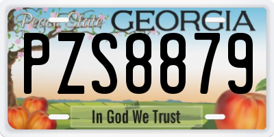 GA license plate PZS8879