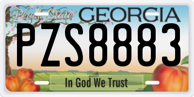 GA license plate PZS8883