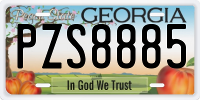 GA license plate PZS8885
