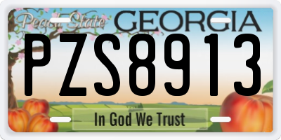GA license plate PZS8913
