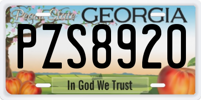 GA license plate PZS8920