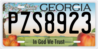 GA license plate PZS8923
