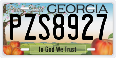 GA license plate PZS8927