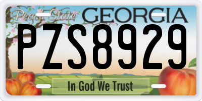 GA license plate PZS8929