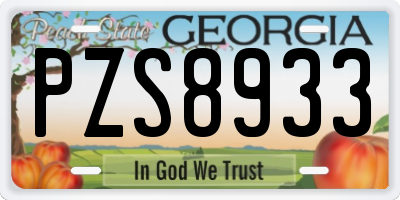 GA license plate PZS8933