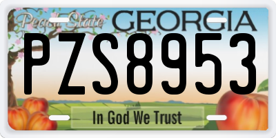 GA license plate PZS8953