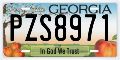 GA license plate PZS8971