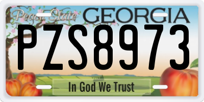 GA license plate PZS8973