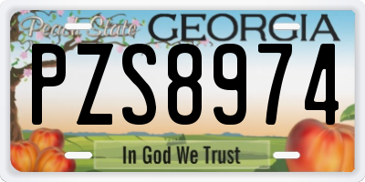 GA license plate PZS8974