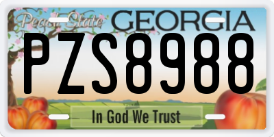 GA license plate PZS8988