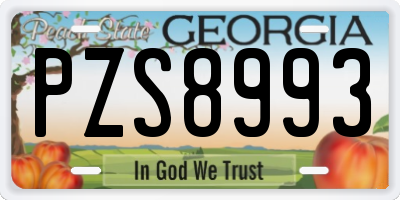 GA license plate PZS8993