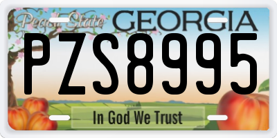 GA license plate PZS8995