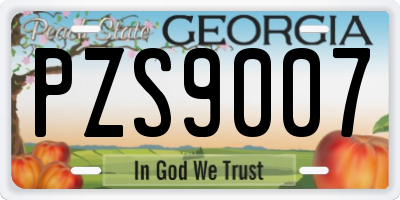 GA license plate PZS9007