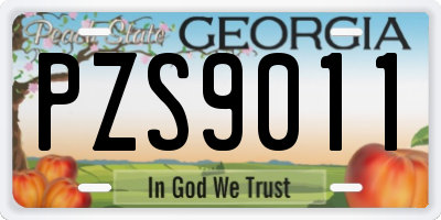 GA license plate PZS9011