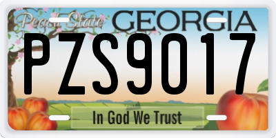 GA license plate PZS9017