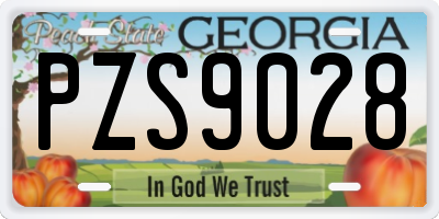 GA license plate PZS9028