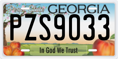 GA license plate PZS9033