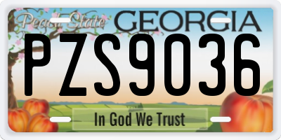 GA license plate PZS9036