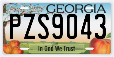 GA license plate PZS9043