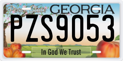 GA license plate PZS9053