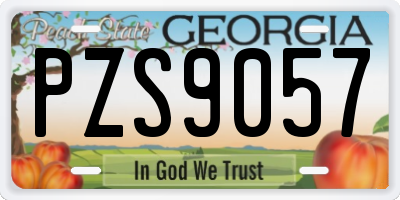 GA license plate PZS9057