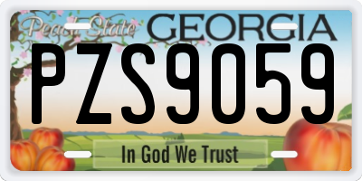 GA license plate PZS9059