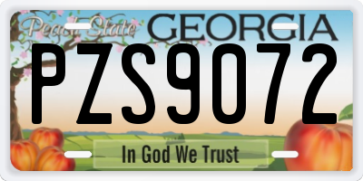 GA license plate PZS9072