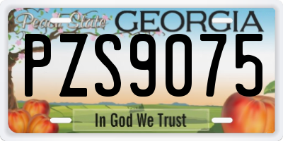GA license plate PZS9075
