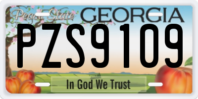 GA license plate PZS9109