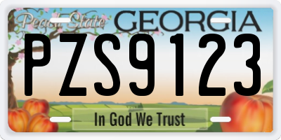 GA license plate PZS9123