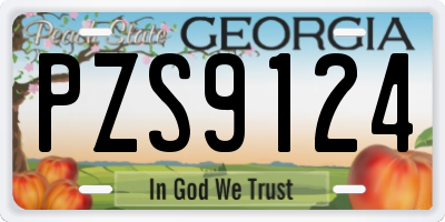 GA license plate PZS9124