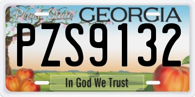 GA license plate PZS9132