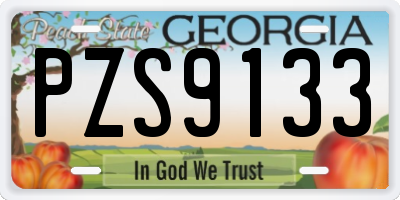 GA license plate PZS9133